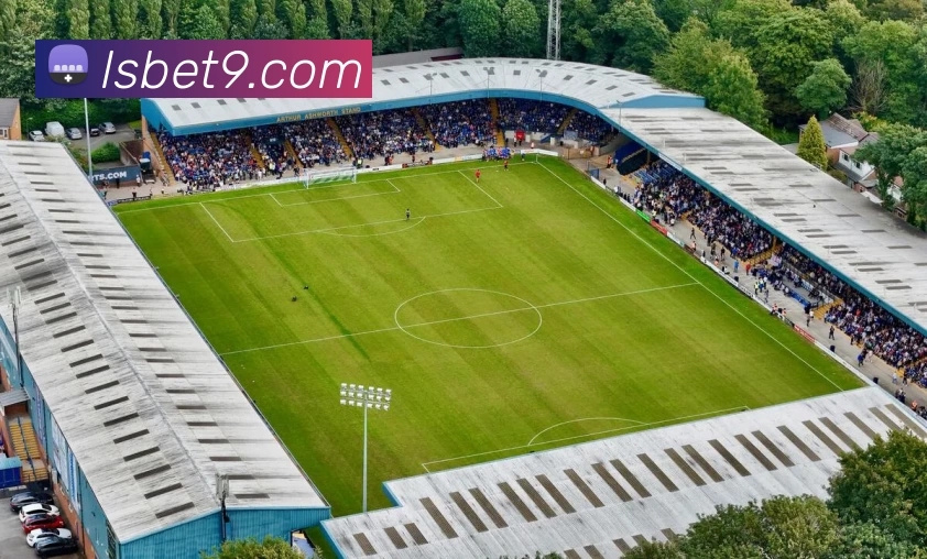 蓝狮在线官网APP 体育赛事宣传图